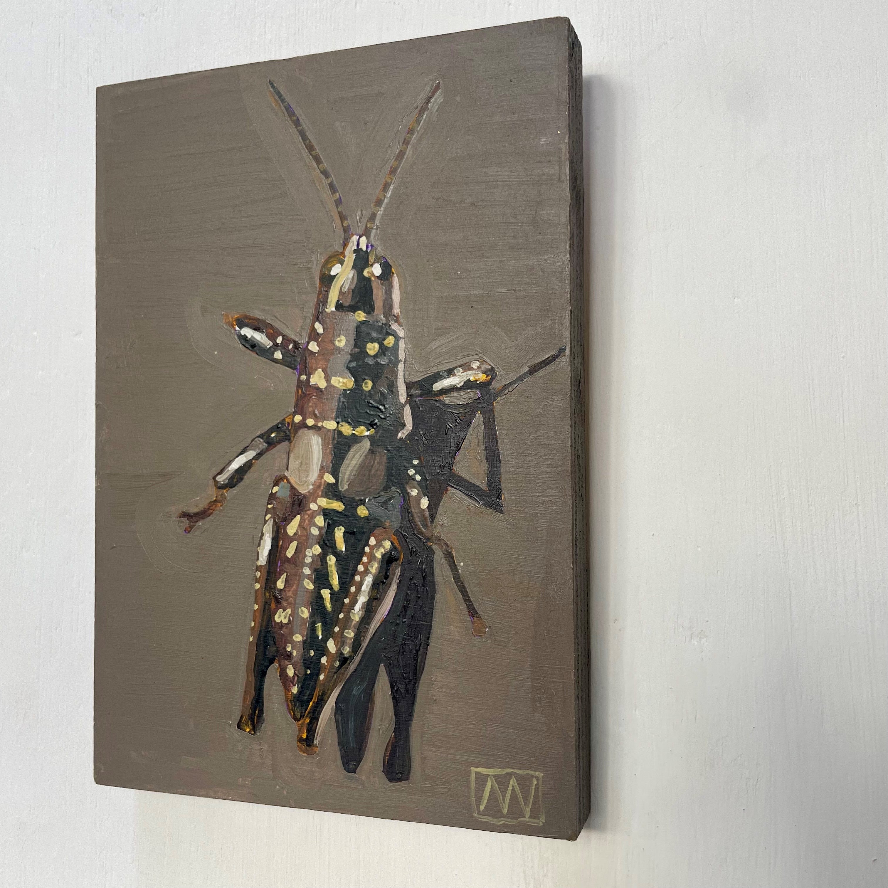 Larapinta Grasshopper by Andrea Wilson