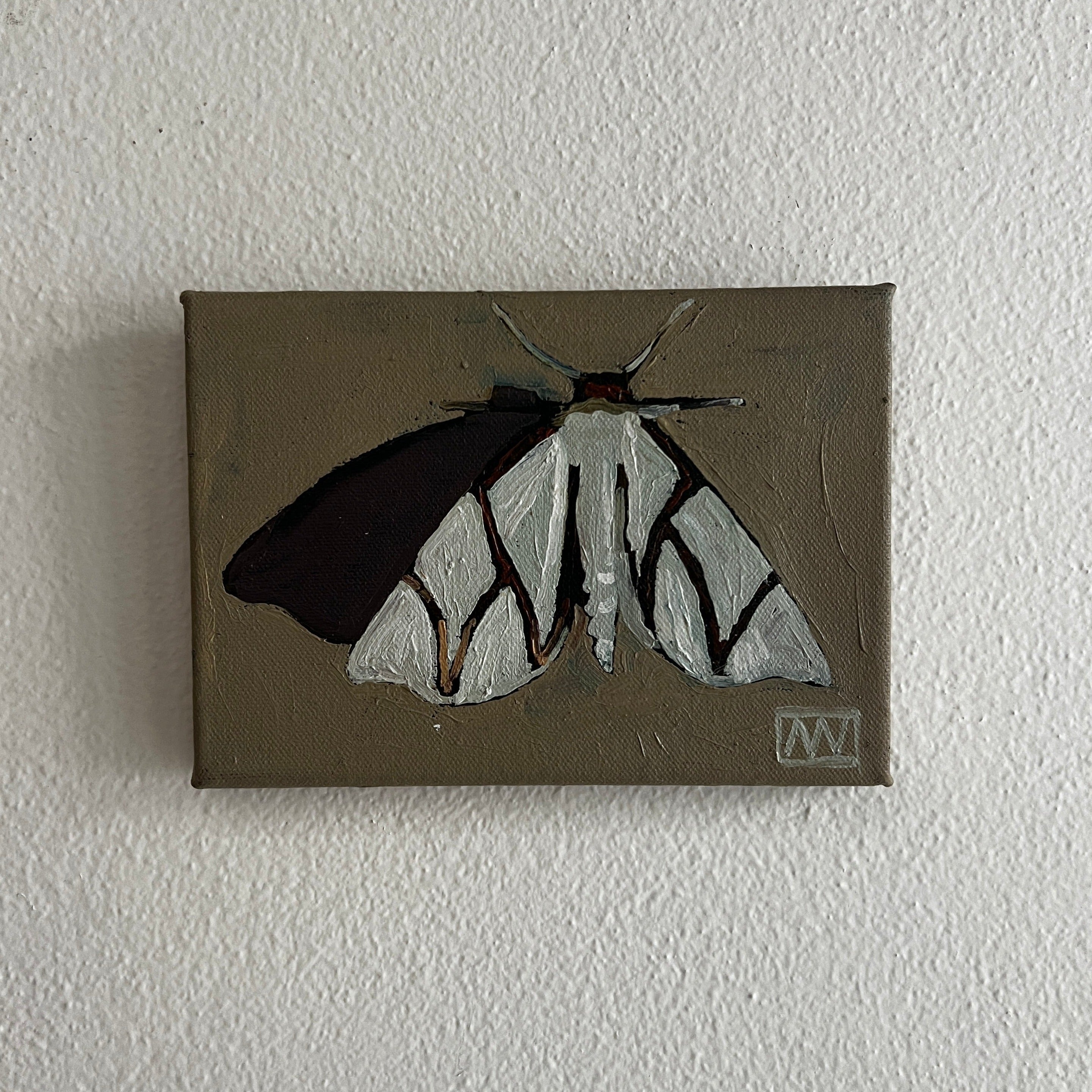 WW Moth by Andrea Wilson