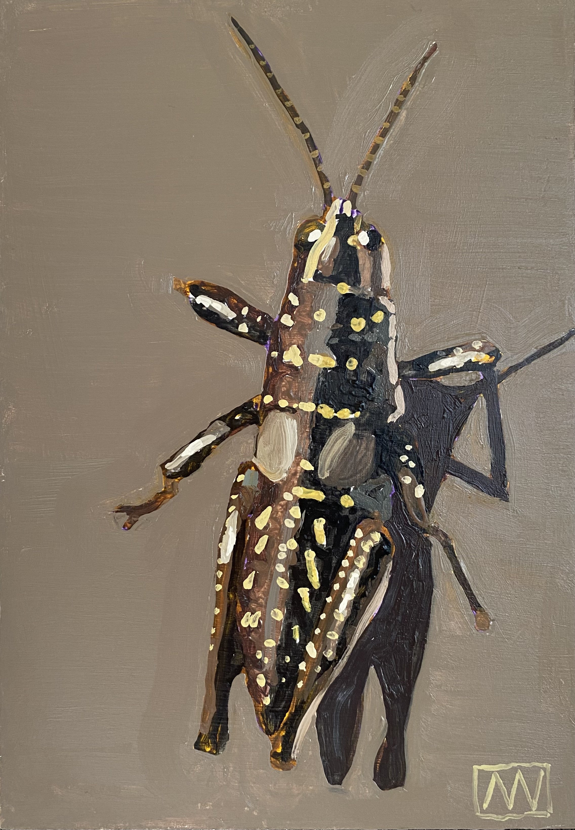 Larapinta Grasshopper by Andrea Wilson