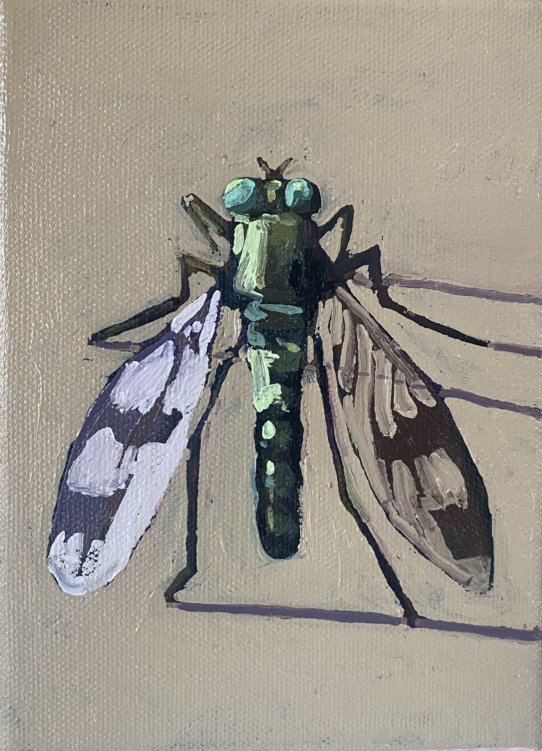 Little Fly by Andrea Wilson